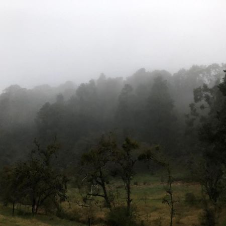 Cabaña romántica en el bosque! Acaxochitlán Esterno foto
