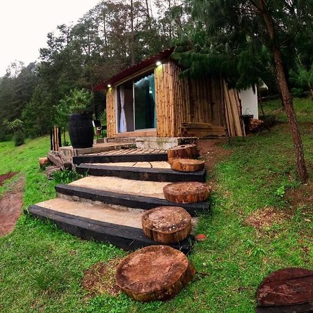 Cabaña romántica en el bosque! Acaxochitlán Esterno foto
